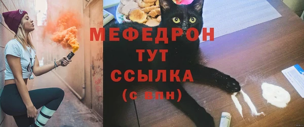 прущие грибы Вяземский