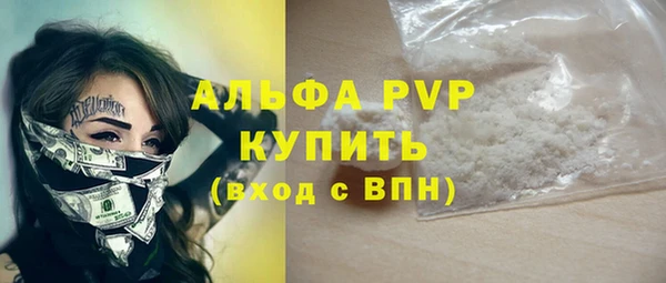 прущие грибы Вяземский