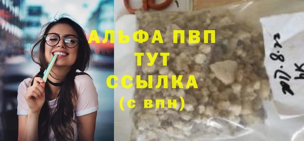 прущие грибы Вяземский