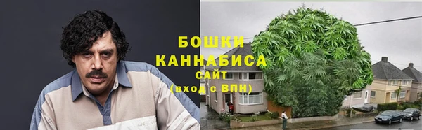 прущие грибы Вяземский