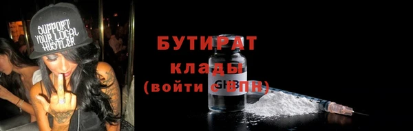 прущие грибы Вяземский