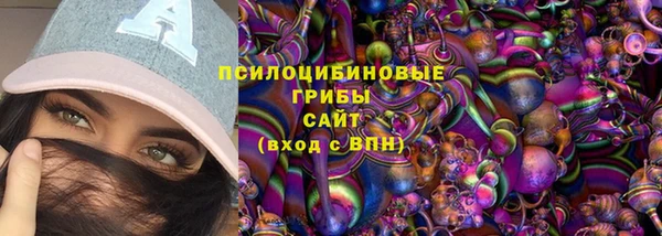 прущие грибы Вяземский