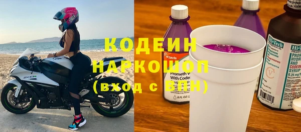 прущие грибы Вяземский