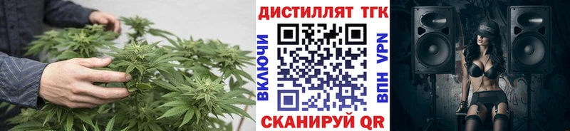 ТГК гашишное масло  где продают наркотики  Брянск 