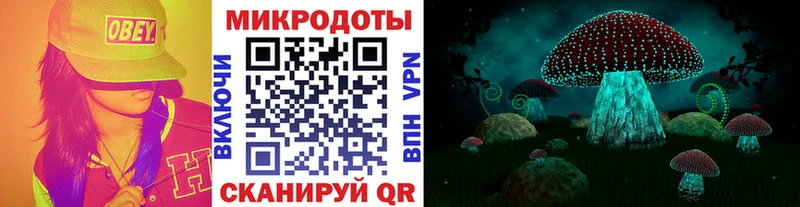 цены наркотик  Брянск  Псилоцибиновые грибы MAGIC MUSHROOMS 